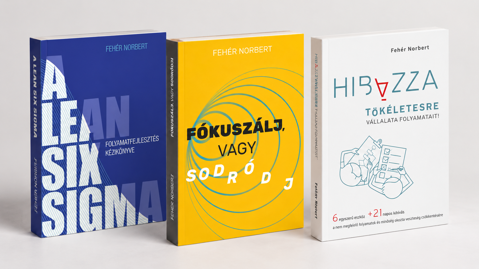 Fehér Norbert lean six sigma témában írt könyvei